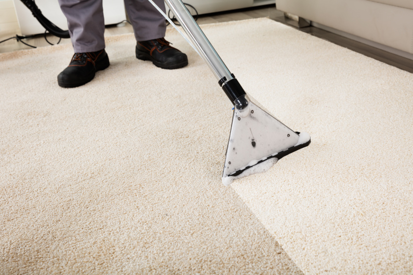 Mr. B's carpet cleaning services include carpet shampooing, carpet steaming, pet stain removal, and more.